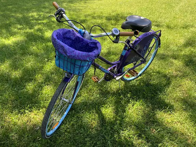 Women's Bicycle553852285359892481