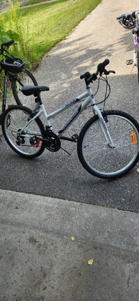 southern star bella vista ladies bike