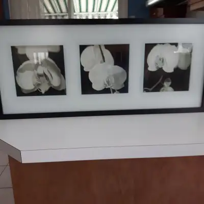 BEAU CADRE NEUF BLANC+NOIR DE 3 ORCHIDÉES 26"LARx12"HAU: $25.00, View more