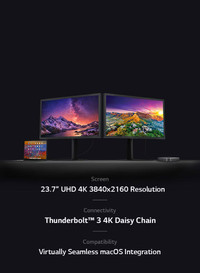 LG 24-Inch Nano IPS UHD 4K UltraFine Monitor for Mac