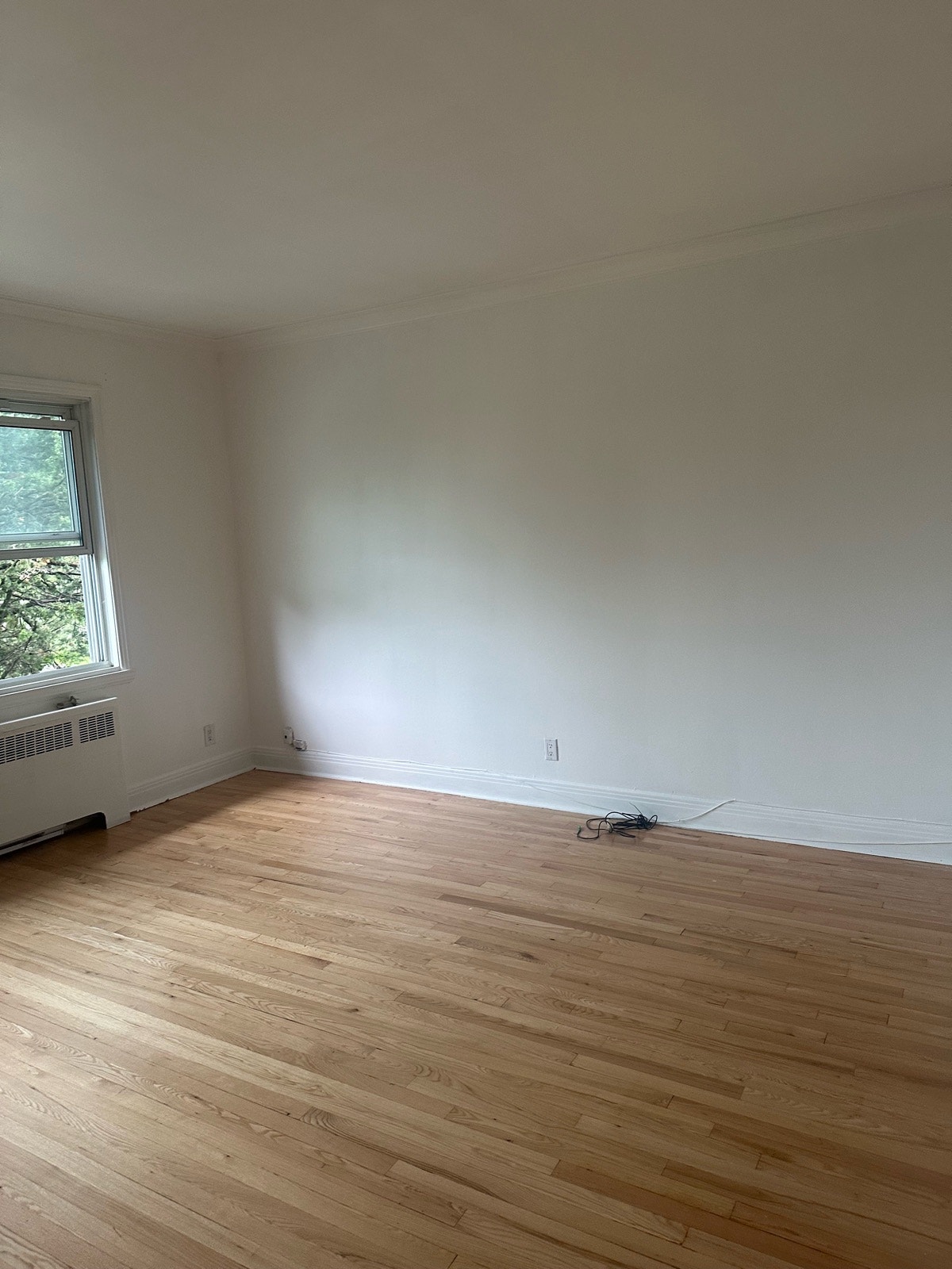 10405 Grande Allée — photo 3