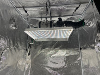 Mars Hydro Grow Light