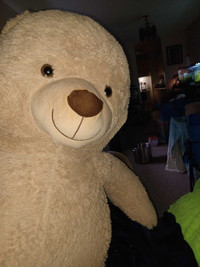 5.5ft Teddy Bear NEGOCIABLE