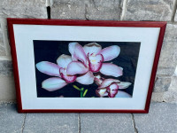 Solid Wood Framed Orchid Photo