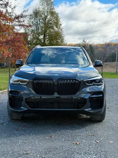2023 BMW X5 xDrive45e | Dravit Grey / White Marino Leather | Individually Specd | One Owner | No Acc...