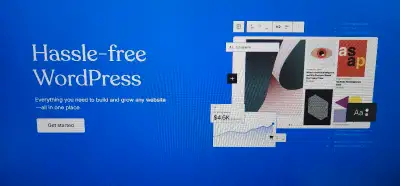 Looking for someone with few years experience with WordPress and elementor, Currently i own 2 websit...