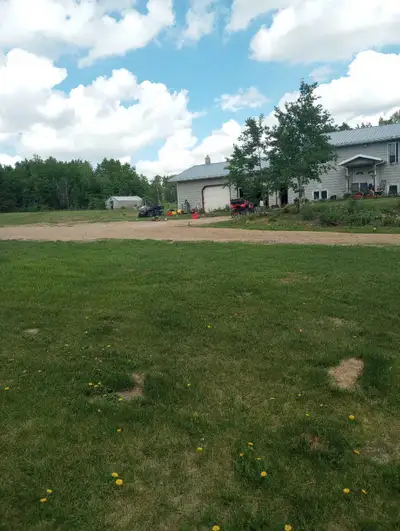 I'm a single guy looking for a long-term rental, anywhere in central Alberta town, farm or city I'm...