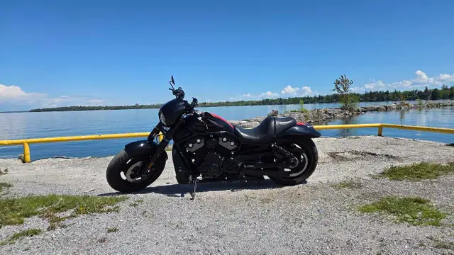 harley-davidson v-rod night in Street, Cruisers & Choppers in Markham / York Region - Image 10