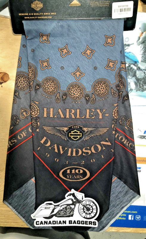 HARLEY DAVIDSON 110TH ANNIVERSARY LOGO BANDANA in Other in Sarnia