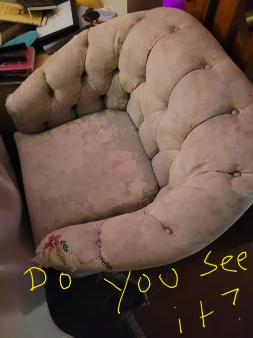 ALOHA VICTORIA/LANGFORD/METCHOSIN/SOOKE/OTHER. This is my chair. As you can see it is a most scrumpt...