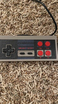 Nintendo NES Controllers