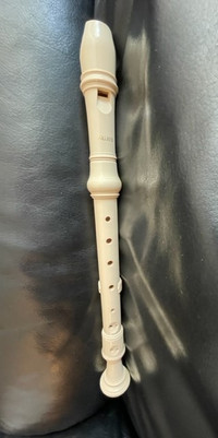 Aulos Recorder - School Musical Instrument