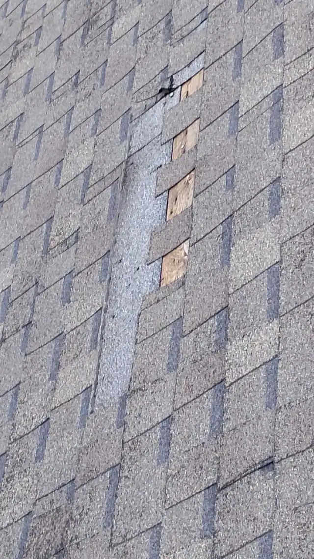 Roofing and exterior repairs