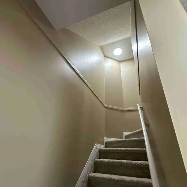 professional painter580577054226524163