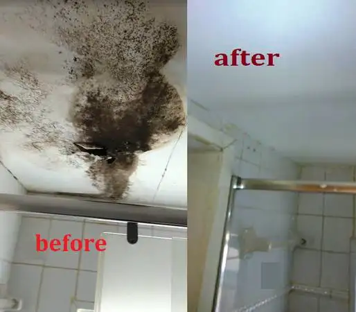 DRYWALL FINISHER (26)years experience).