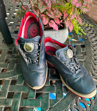 Ecco Biom Men's Navy Blue Gortex Golf Shoes