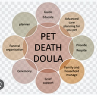 Animal Companion End-of-Life Doula