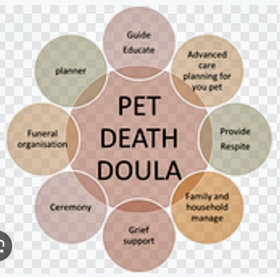 Animal Companion End-of-Life Doula, View more