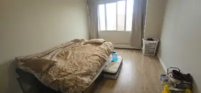 1 private bedroom + Den available, Only 2 people will share the whole apartment. I am looking for a...