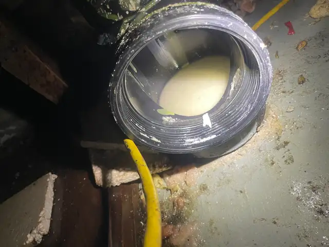 service plumber 414906401907036162