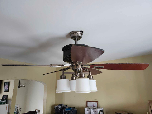 Hunter Celing  fan in Indoor Lighting & Fans in Truro