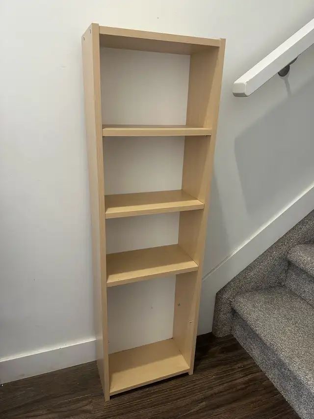 Book Shelf523497089564026884