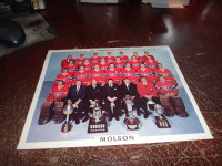 Molson Montreal Canadians official Hockey Team Photo 1964-1965 +