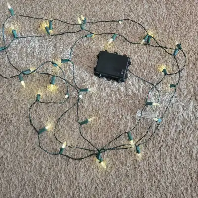 12 foot Strand of Clear Mini LED Battery Powered Light. $4, View more