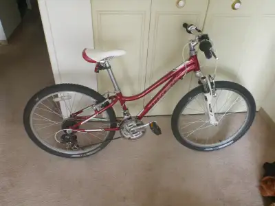 Ladies TREK MT220 21 Speed Mountain Bike, View more