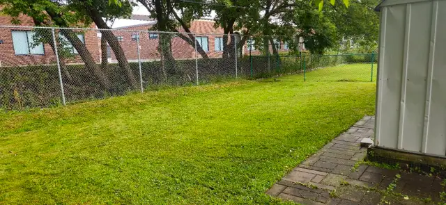 Grass Cutting Scarborough / Pickering / Whitby62863233571842123