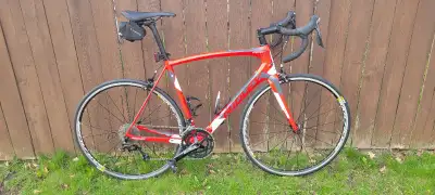 Like New Full Carbon Ridley Fenix SL50 road bike 54cm