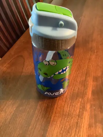 Kids dinosaur water bottle, View more