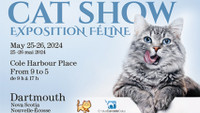 Ring Clerk for Cole Harbour Cat Show