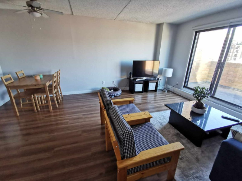 3 ½ for rent, October 1st, PET FRIENDLY, Big balcony. Long Term