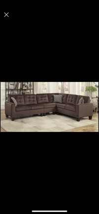 Sectional pet smoke free home 