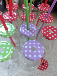 Reusable Glass Bottles with Straws and Metal Screw on Lids