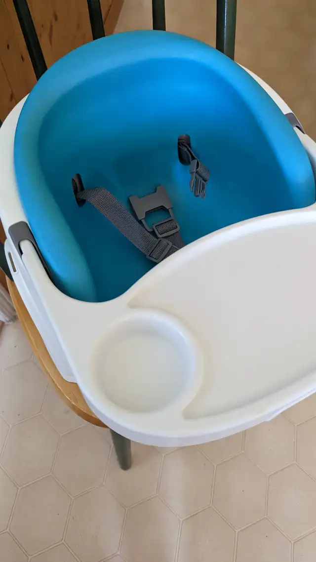 Ingenuity Booster Feeding and Floor Seat in Feeding & High Chairs in Mississauga / Peel Region - Image 6