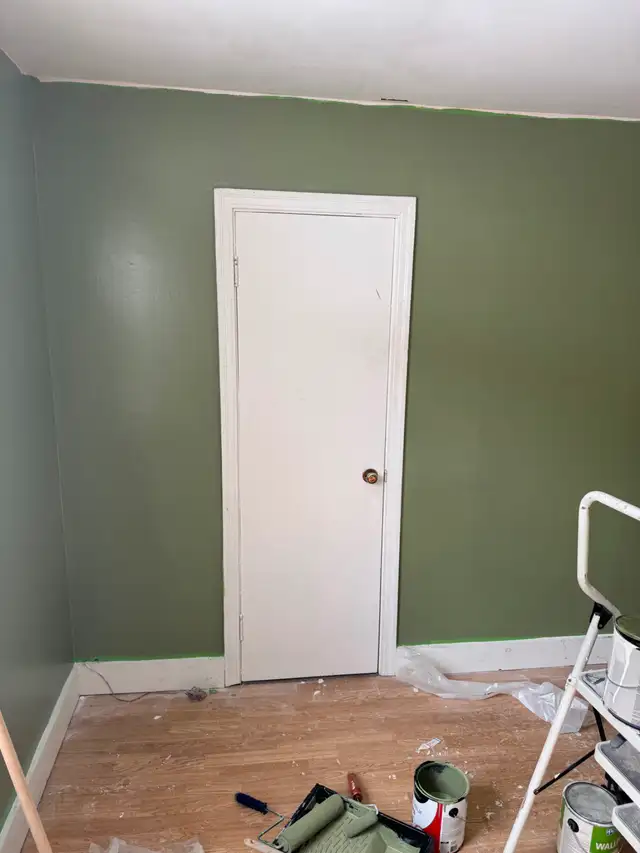 Painter+ Available505829919745658883