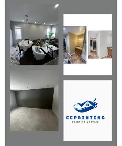 Professional Painter, View more