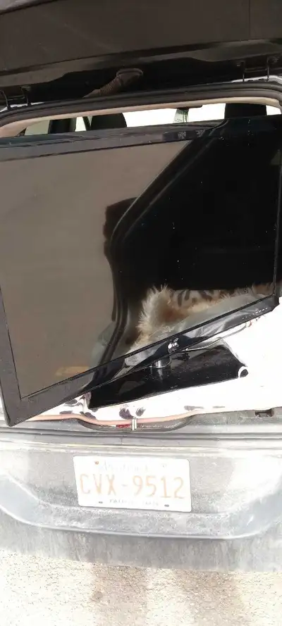 Lg 42 inch  TV $20 delivered in Calgary for extra 20, View more