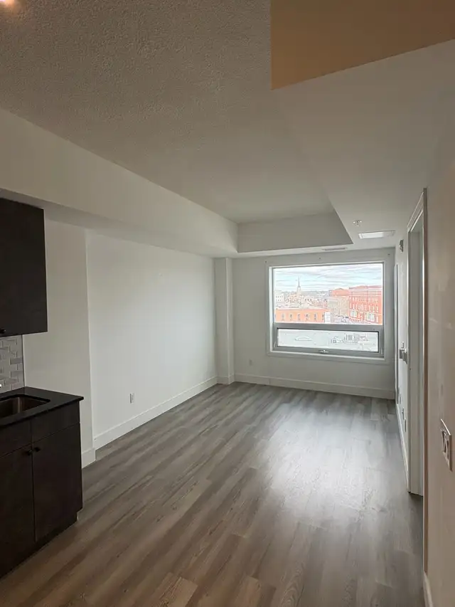 2br 2 bath fresh painted brantford condo  in Long Term Rentals in Brantford - Image 6