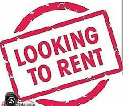 40 year old working man with a respectful sweet dog looking for a fair room rental. Quiet and clean.