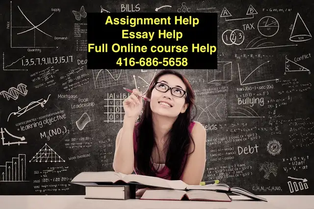 Urgent Essay Writing / Research Paper and Assignment in Classes & Lessons in Red Deer - Image 2