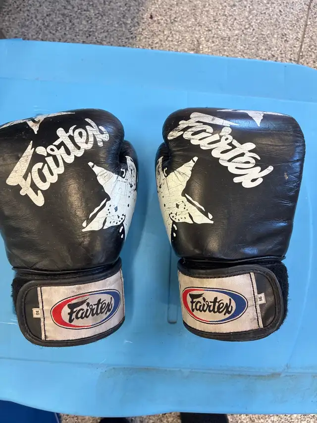 Boxing gloves in Other in Ottawa - Image 2