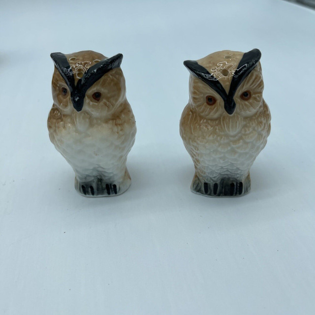 Vintage Owl Salt and Pepper Shaker Set in Arts & Collectibles in Dartmouth