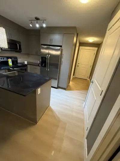 Transform Your Basement Into a Stunning Living Space – Calgary, View more