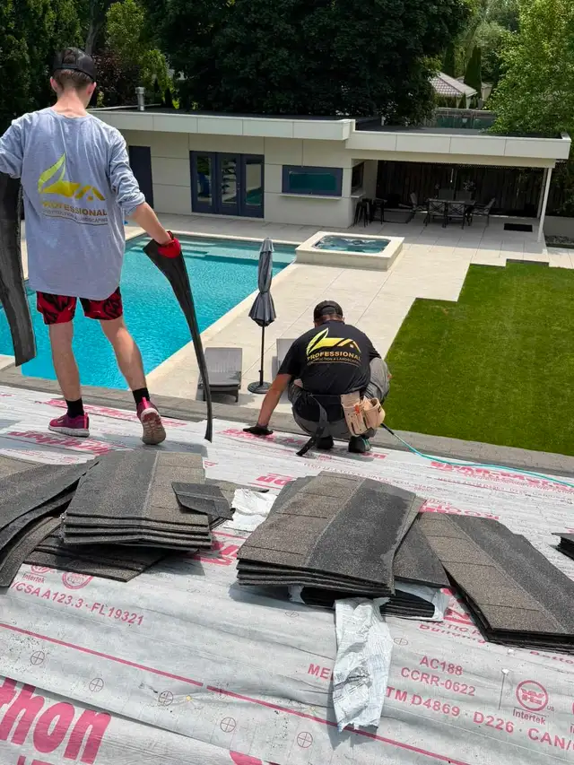 Roof, soffit, fascia, gutter and siding581490779756308485