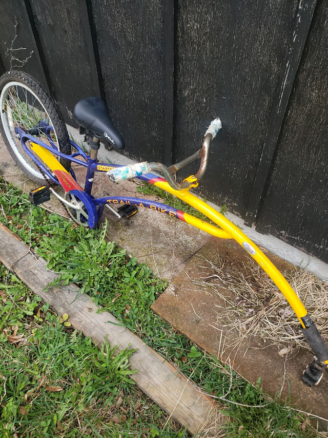 Kids trail a bike, dans Enfants  à Kingston - Image 2