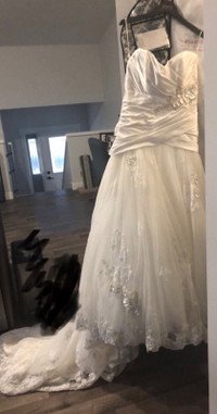 Wedding dress & veil 