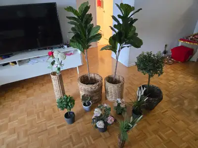 Artificial Plants, View more